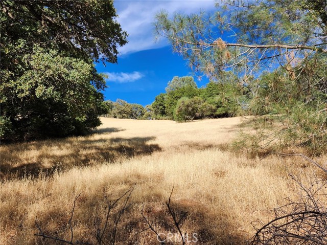 9500 Glenhaven Drive, Glenhaven