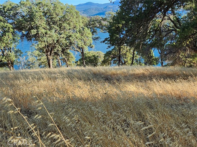 9500 Glenhaven Drive, Glenhaven