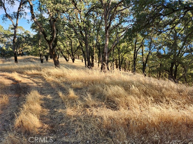 9500 Glenhaven Drive, Glenhaven