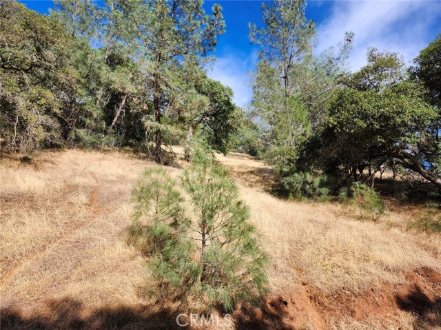 9500 Glenhaven Drive, Glenhaven