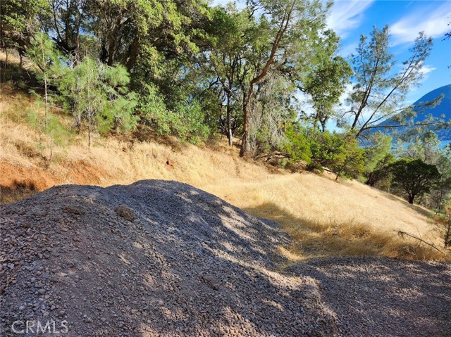 9500 Glenhaven Drive, Glenhaven