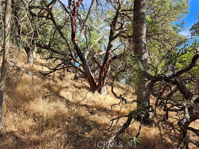 9500 Glenhaven Drive, Glenhaven