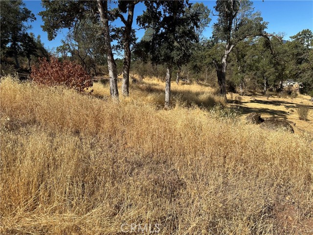 3503 Filmore Avenue, Clearlake