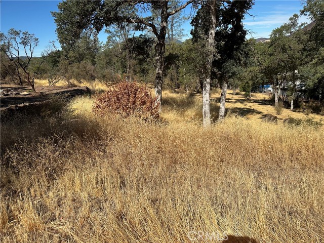 3503 Filmore Avenue, Clearlake