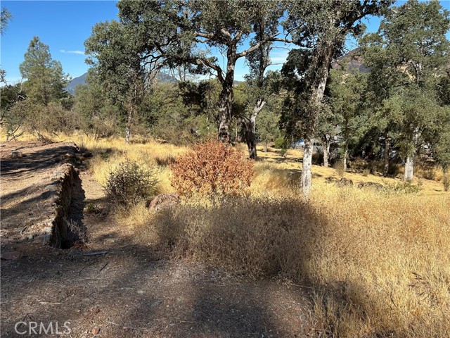 3503 Filmore Avenue, Clearlake