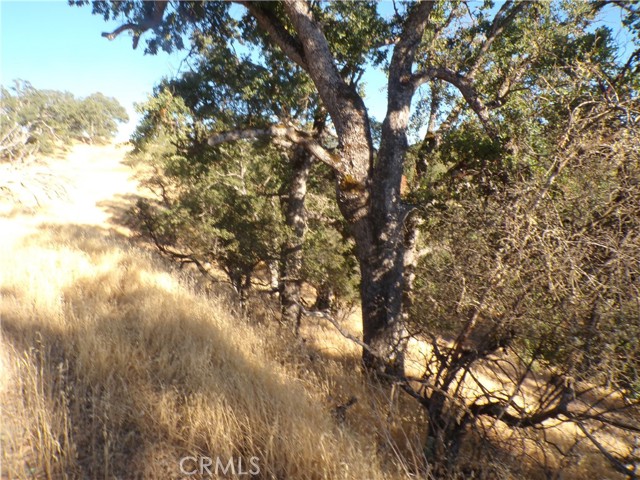 10977 Crestview Drive, Clearlake