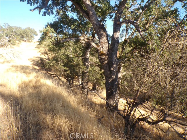 10977 Crestview Drive, Clearlake