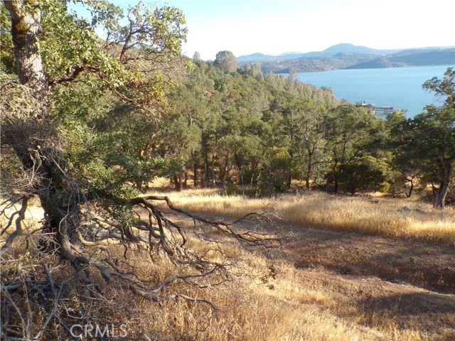 10977 Crestview Drive, Clearlake