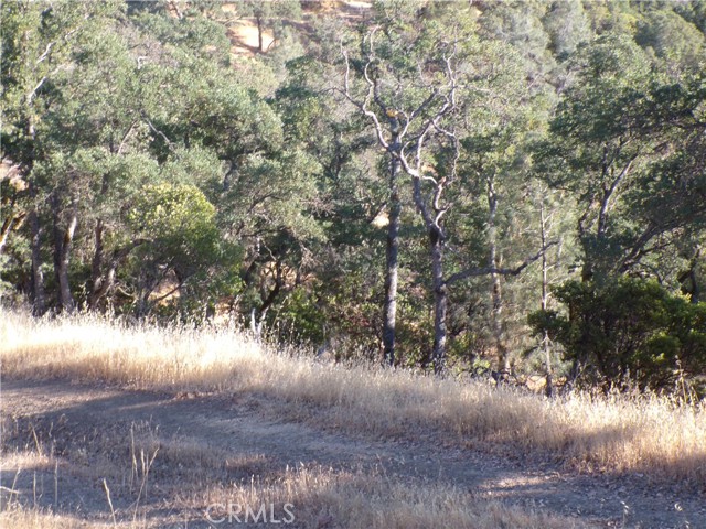 10977 Crestview Drive, Clearlake