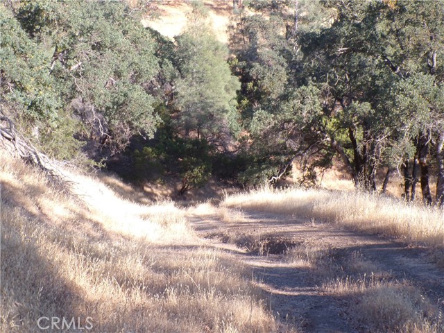 10977 Crestview Drive, Clearlake