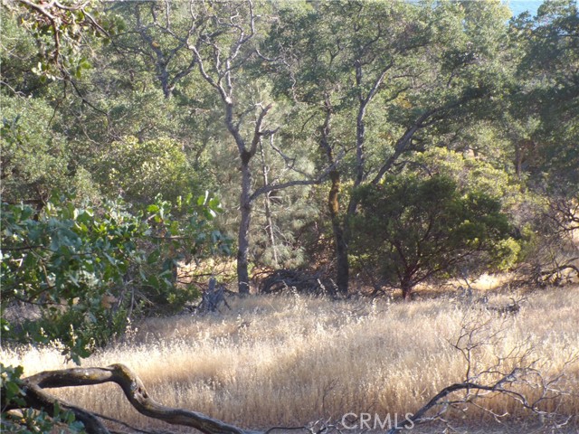 10977 Crestview Drive, Clearlake