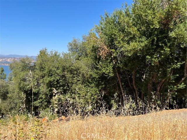 10009 Point Lakeview Road, Kelseyville