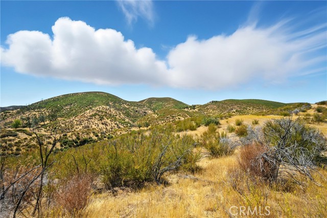 26648 Jerusalem Grade, Lower Lake