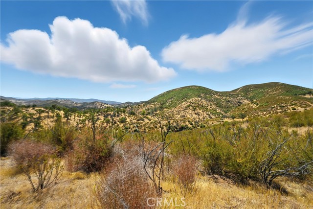 26648 Jerusalem Grade, Lower Lake