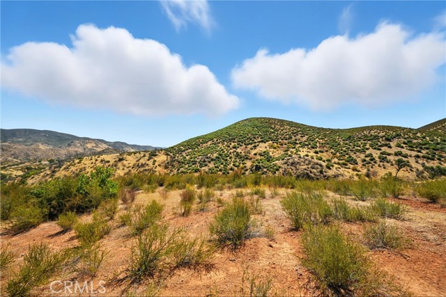 26648 Jerusalem Grade, Lower Lake