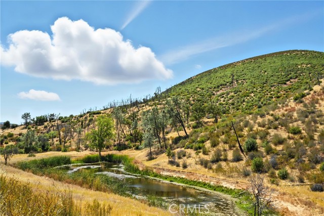 26648 Jerusalem Grade, Lower Lake