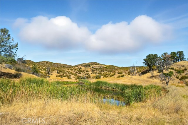 26648 Jerusalem Grade, Lower Lake