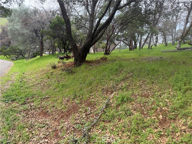 2695 Greenway Drive, Kelseyville