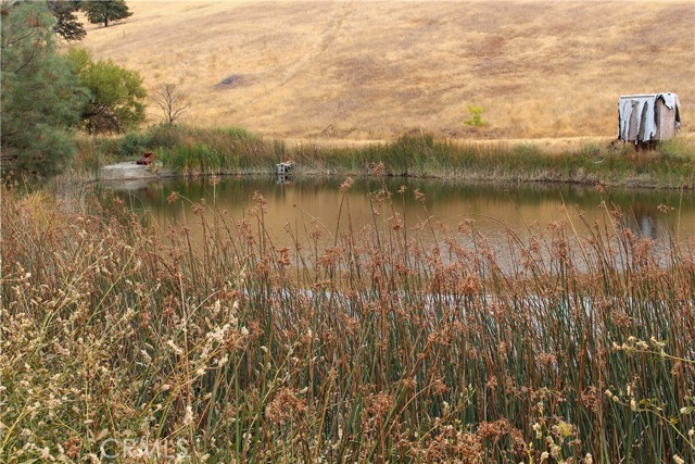 8740 Rocky Creek rd, Lower Lake