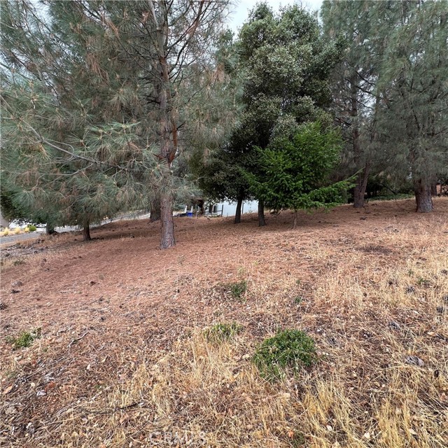 4515 Idlewood, Kelseyville
