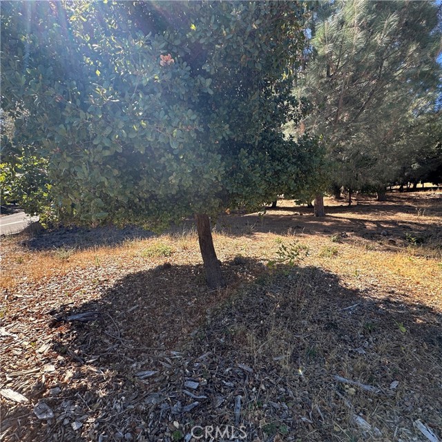 4515 Idlewood, Kelseyville