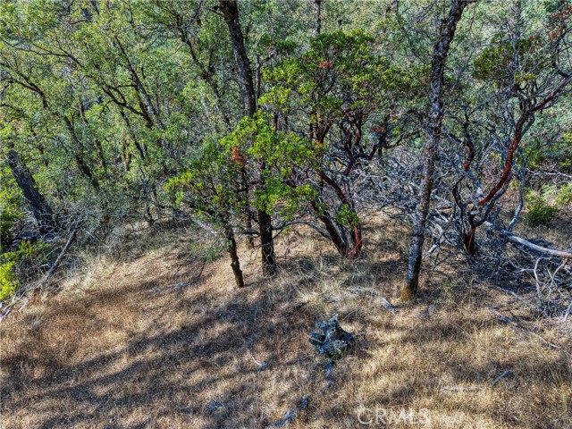 9634 Palmer Court, Cobb