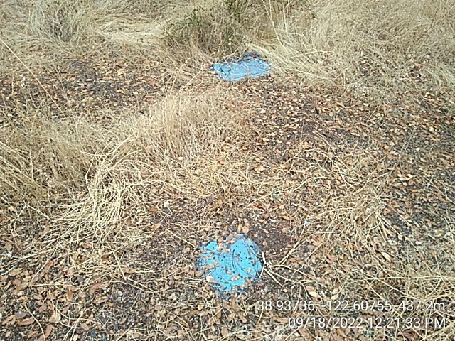 16291 20th, Clearlake