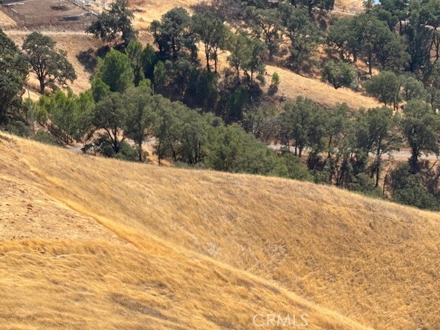 7700 Bruner Drive, Glenhaven