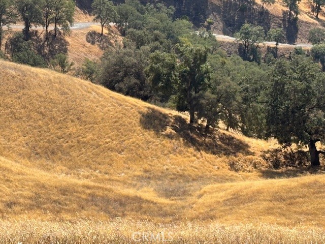 7700 Bruner Drive, Glenhaven