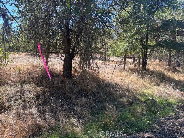 1000 Eva Way, Lakeport