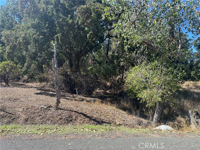 1000 Eva Way, Lakeport