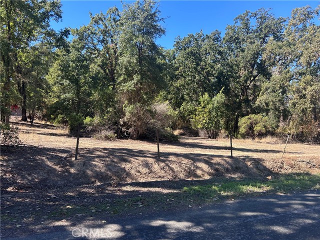 1000 Eva Way, Lakeport