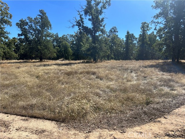 1000 Eva Way, Lakeport