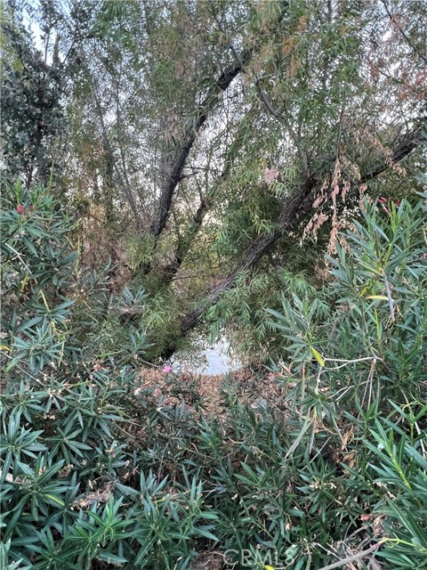 12230 Cerrito Drive, Clearlake Oaks