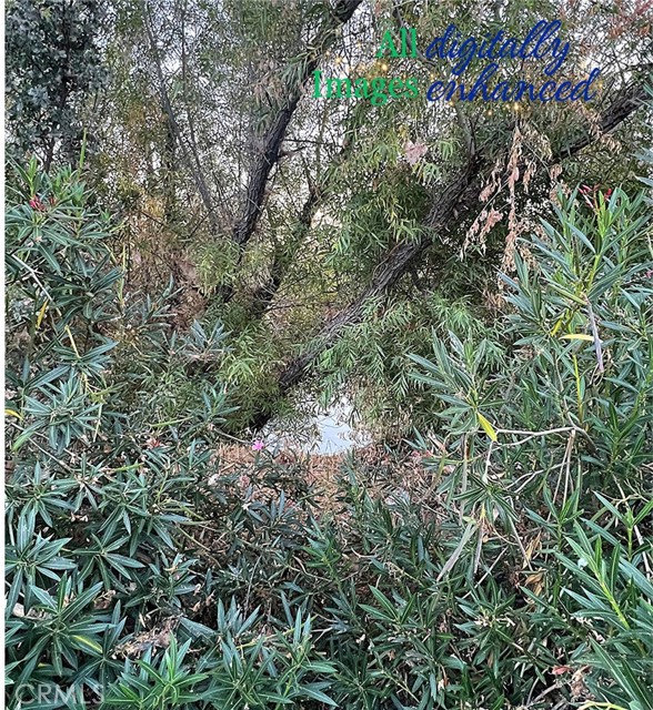 12230 Cerrito Drive, Clearlake Oaks