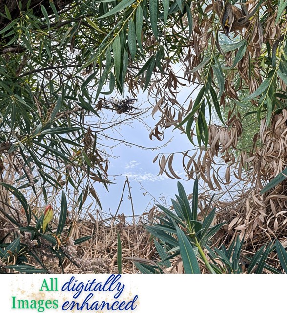 12230 Cerrito Drive, Clearlake Oaks