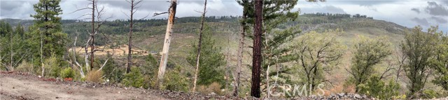 17655 Ford Flat Road, Cobb