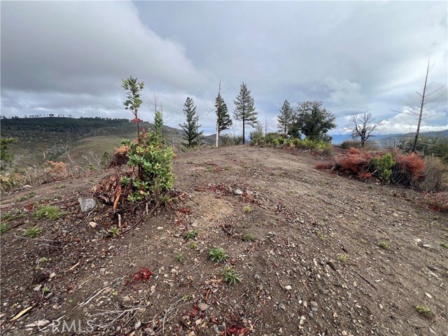 17655 Ford Flat Road, Cobb