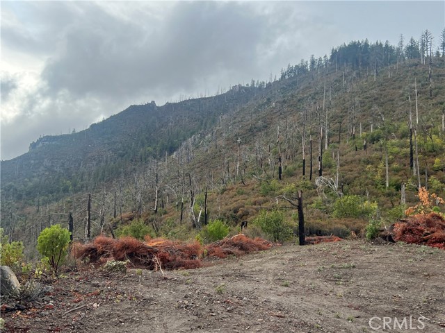 17655 Ford Flat Road, Cobb