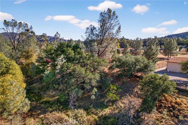 3245 Weeping Willow Way, Clearlake Oaks