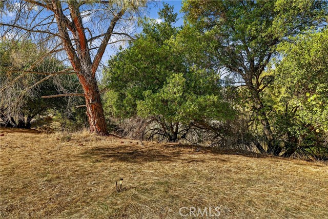 3245 Weeping Willow Way, Clearlake Oaks