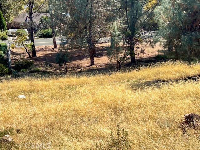 10203 El Capitan, Kelseyville