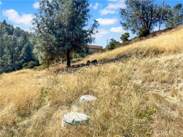 10203 El Capitan, Kelseyville