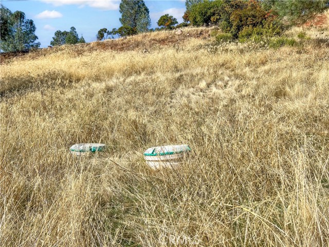 10203 El Capitan, Kelseyville