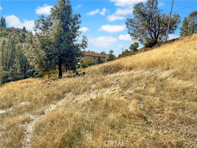 10203 El Capitan, Kelseyville