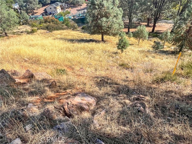 10203 El Capitan, Kelseyville