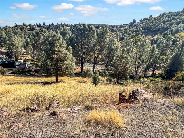 10203 El Capitan, Kelseyville