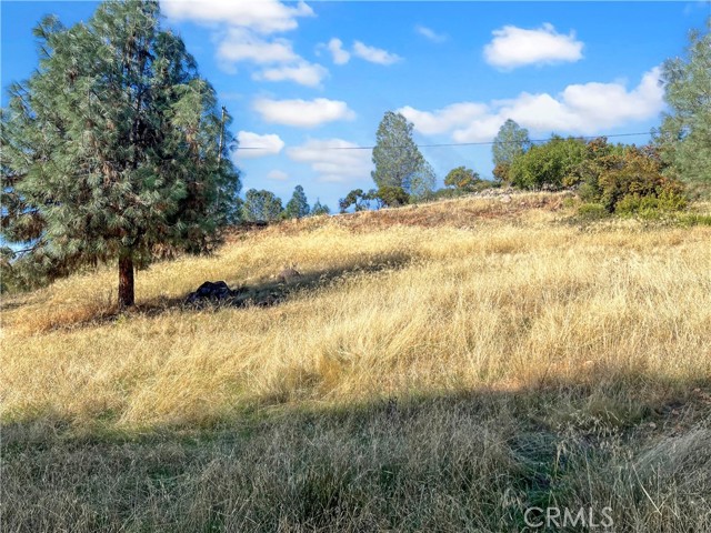 10203 El Capitan, Kelseyville