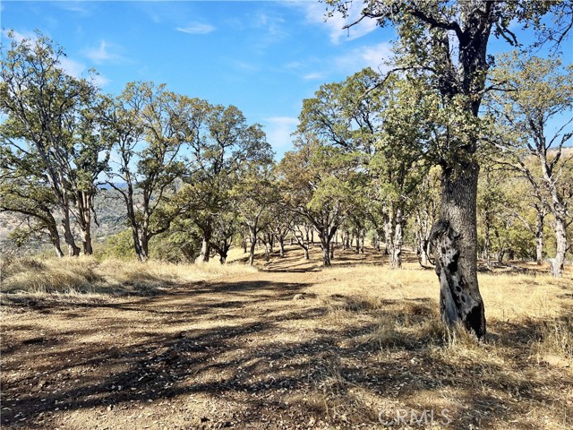 20560 Solar Ridge, Lower Lake