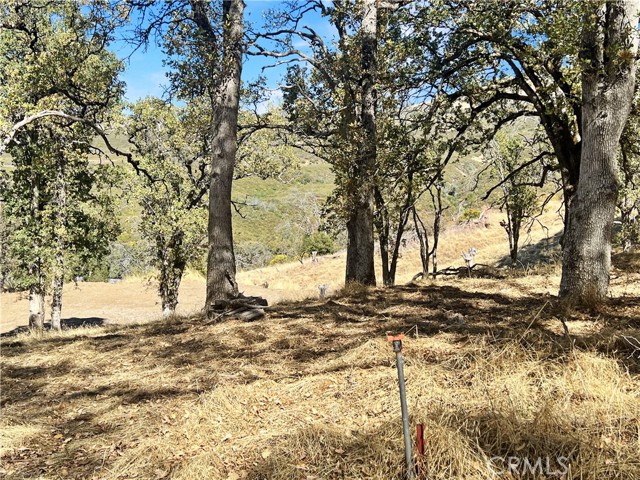 20560 Solar Ridge, Lower Lake